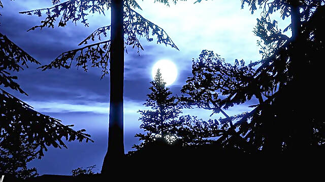 Spanked_and_paddled_to_tears_HD.mov