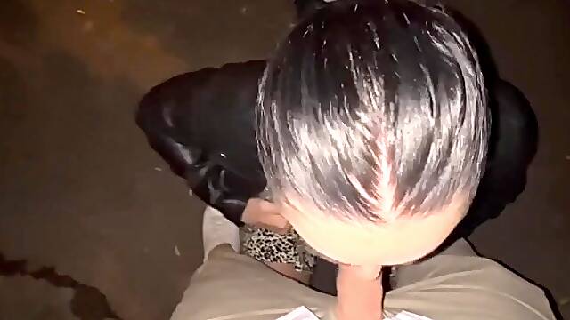 Public Blowjob and Fuck with Brunette in LEATHER JACKET -