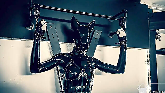 Feminized Latex Puppy Play