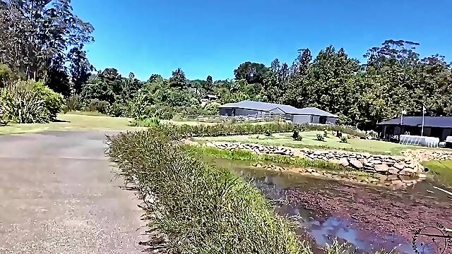 I Turned Dex Into My Personal Toy!