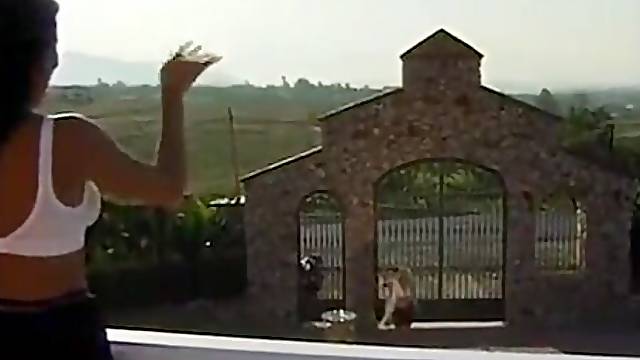 Filme Espanhol, Elosa Sanches, Epanhola