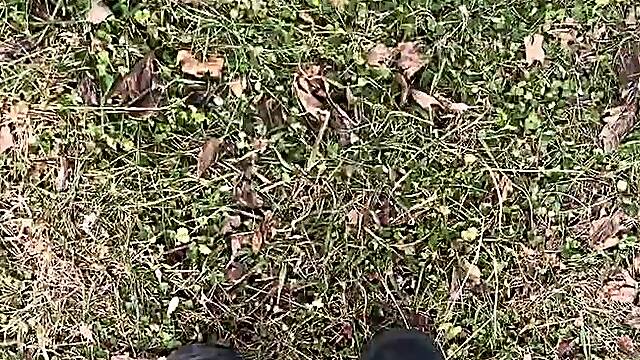 Outdoor Steel-Toe Leather Boots Video