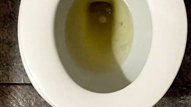 MSN THE ZONE GOLD PEE IN MY TOILET